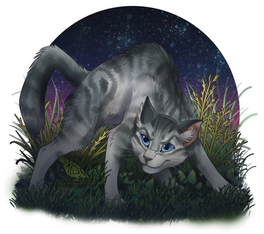Коты Воители частокол и Крутобок