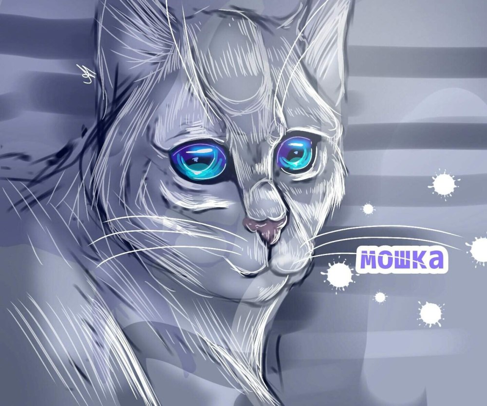 Тучезвёзд коты Воители
