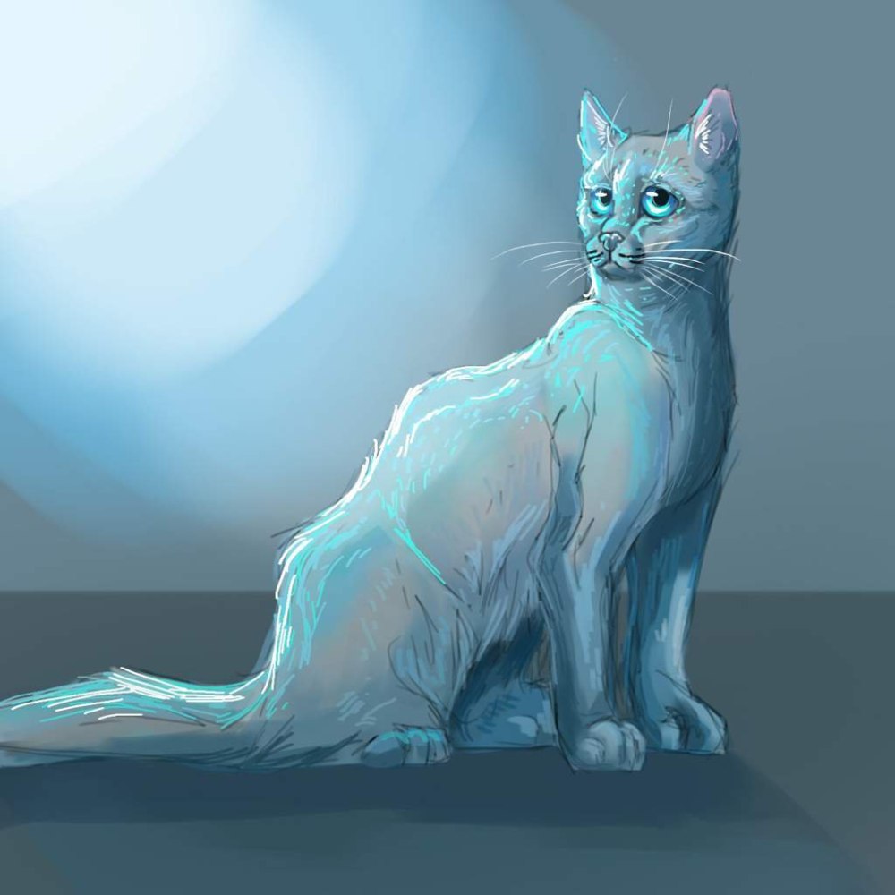 Коты Воители Крутобок