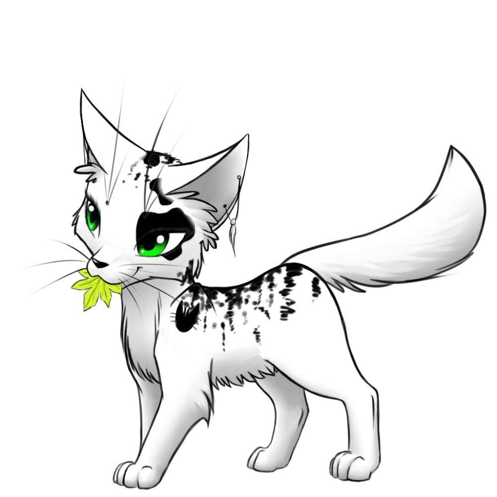 Bristlefrost Warriors Cats
