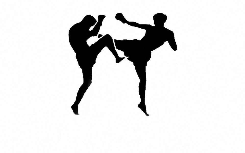 Кикбоксинг значок