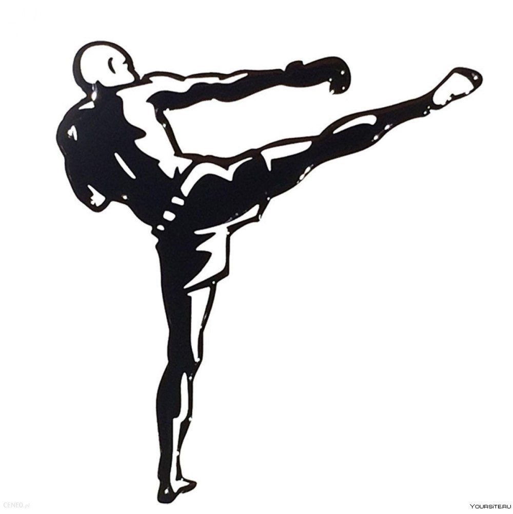 Kickboxing надпись