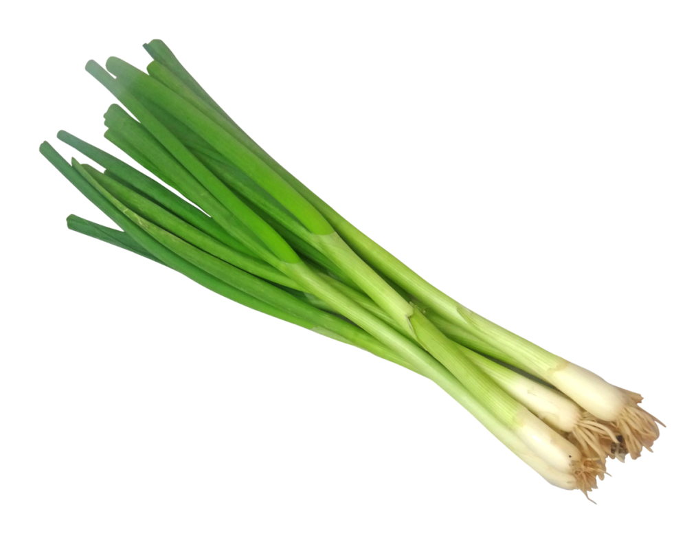 Лук репчатый