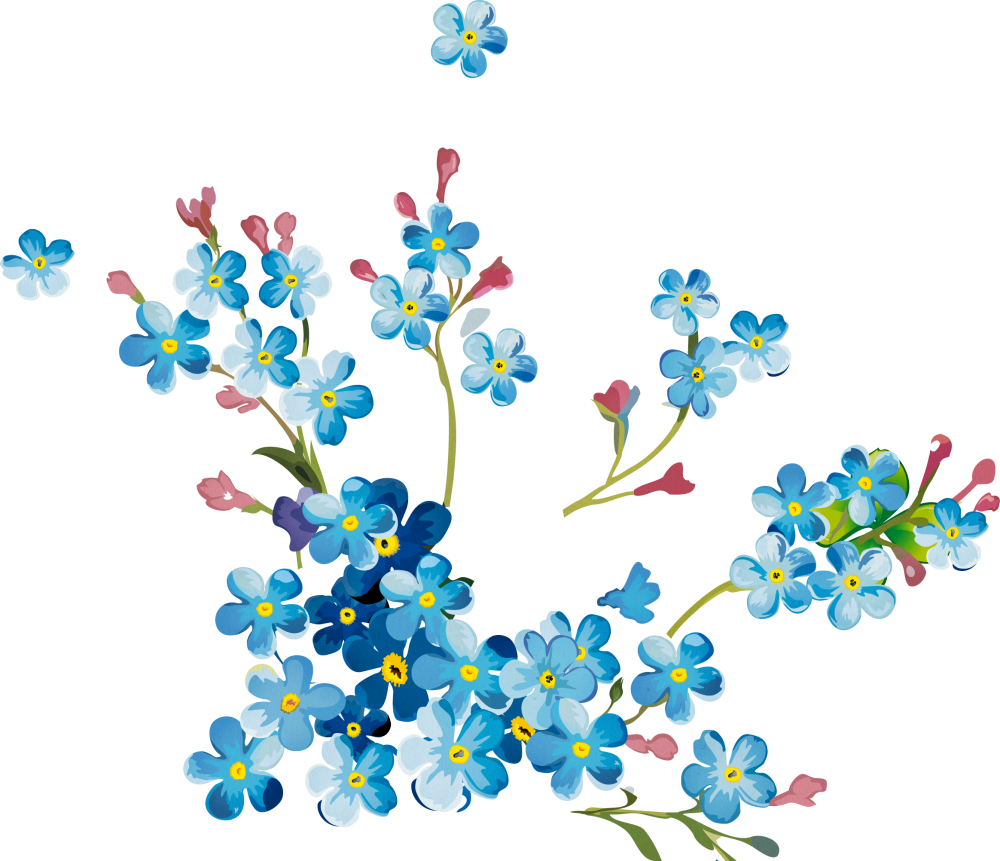 Лилия Сардана вектор