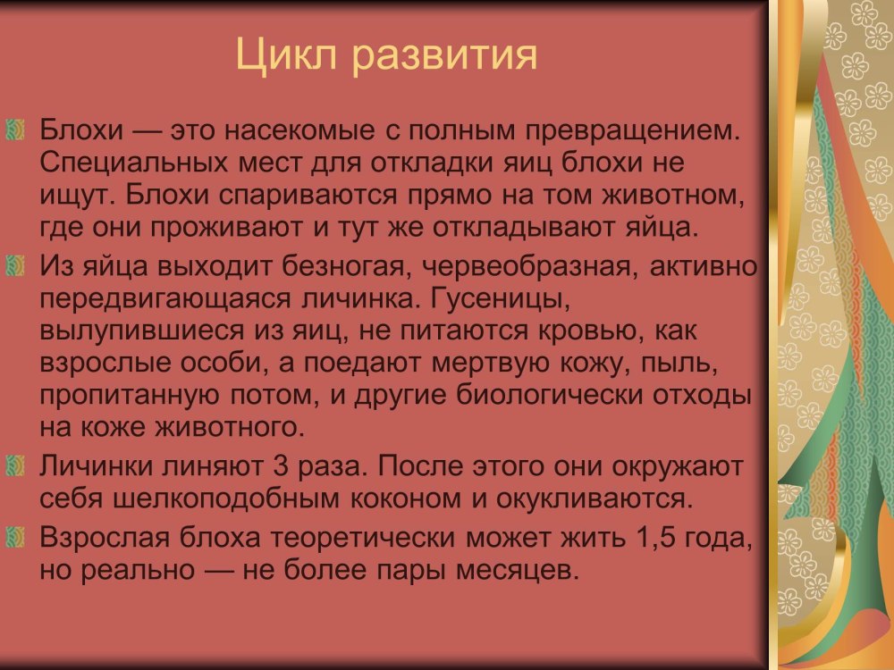 Книга физика для философов