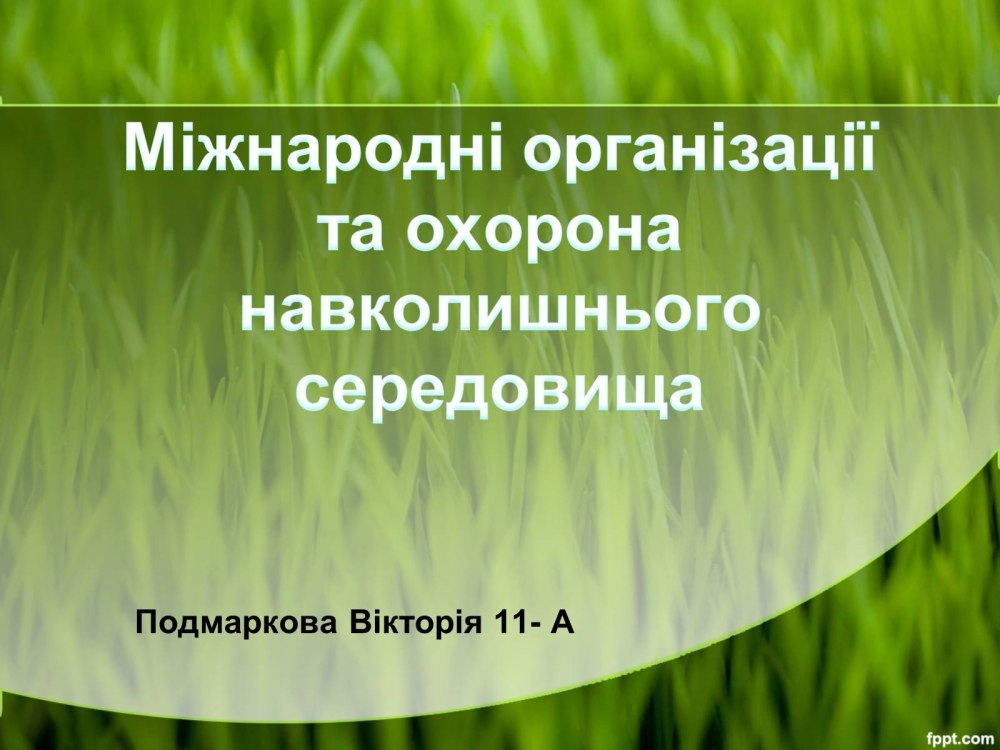 Спасибо за внимание голубое