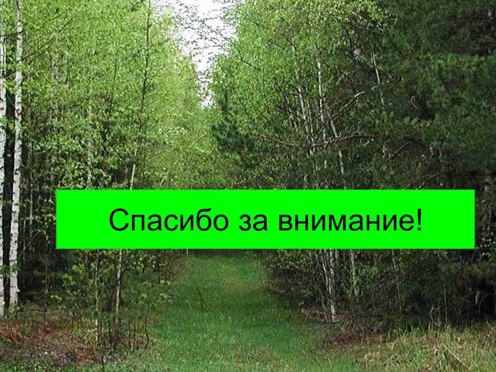 Моя пища есть творить волю пославшего меня и совершить