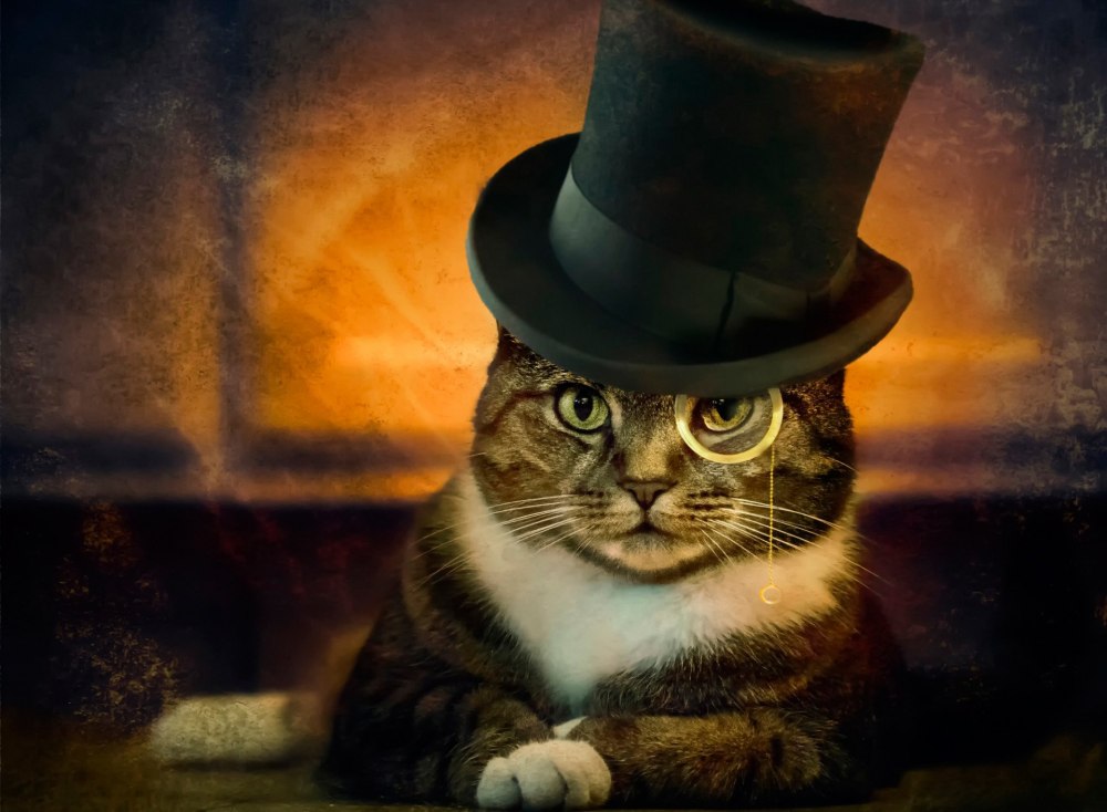 Котенок в шляпке