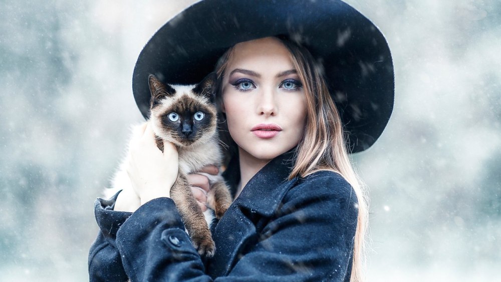 Кот в пиджаке