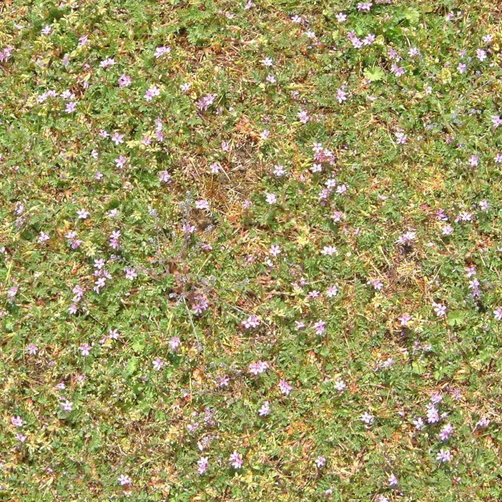 Grass texture бесшовная