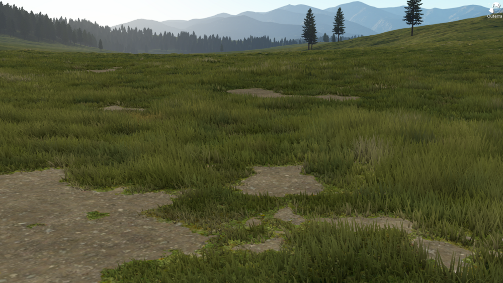 Grass texture бесшовная