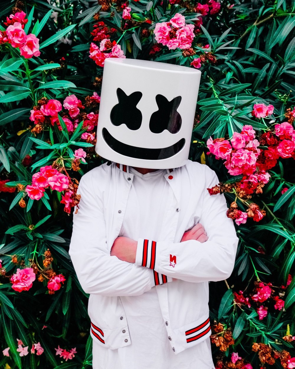 Marshmello Art