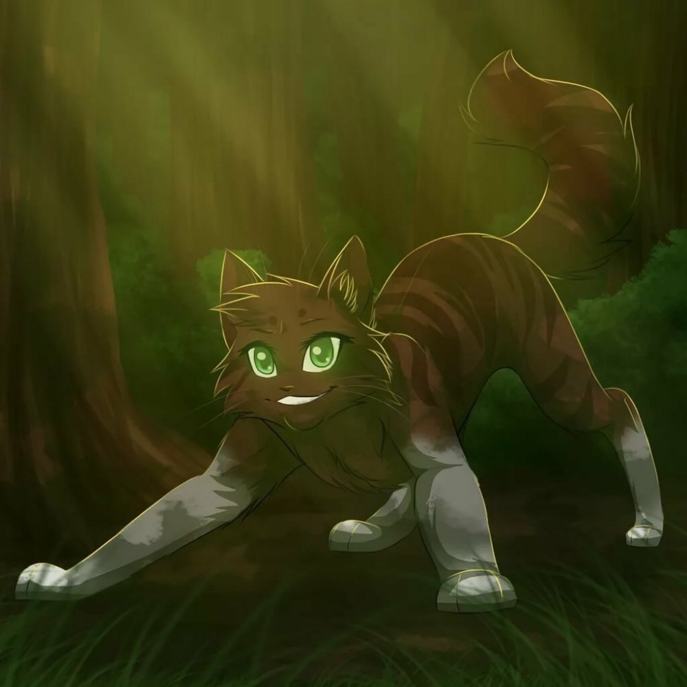 Коты Воители арт