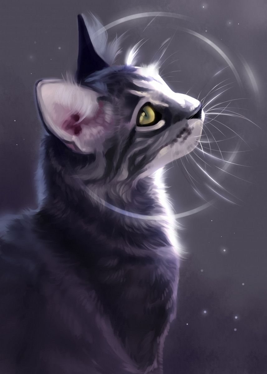 Коты Воители аниме