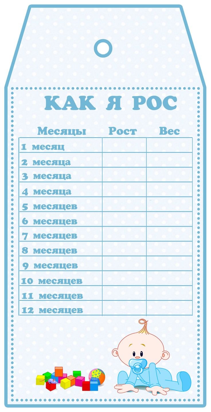 Портфолио для детского сада девочке