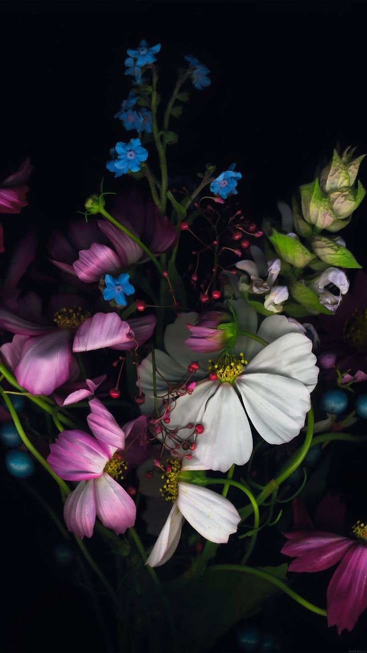 Обои Flower iphone в 2k