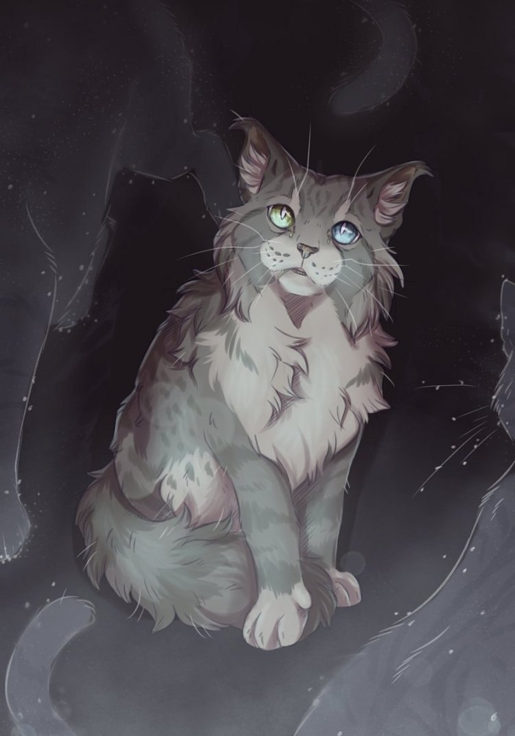 Рисунок коты Воители кроличья звезда