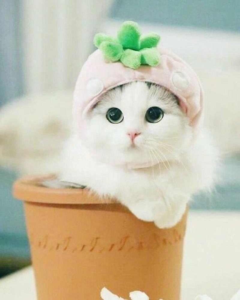 Милый розовый зайчик