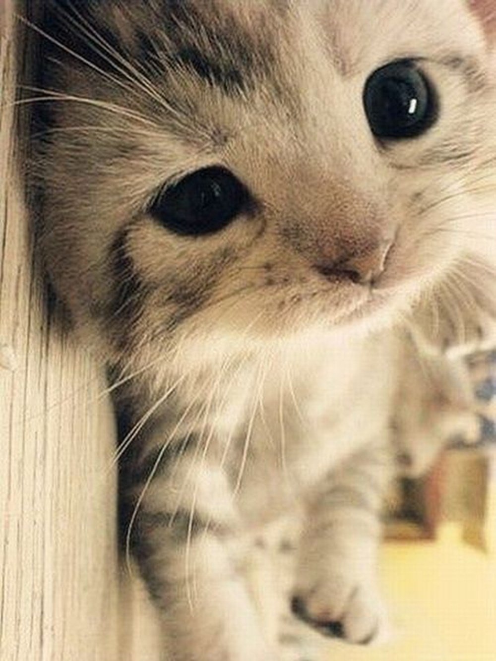 Розовая милота