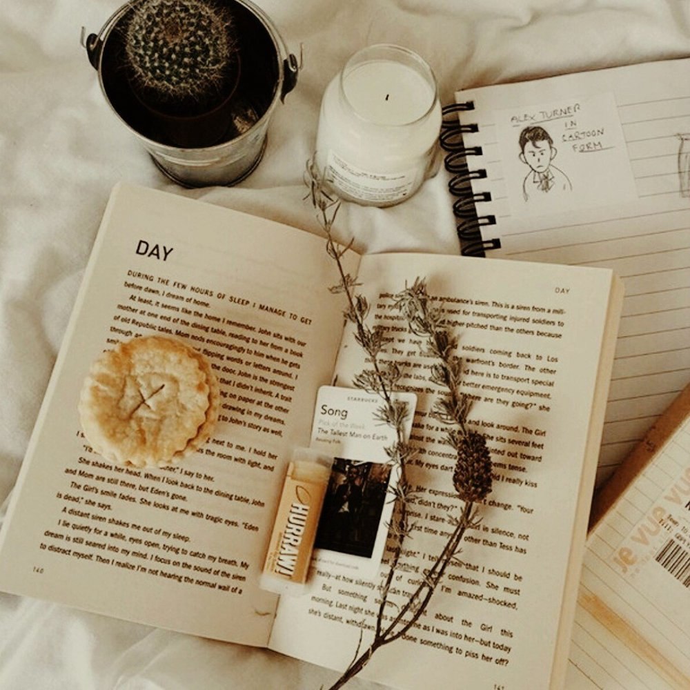 Книги Эстетика бежевый