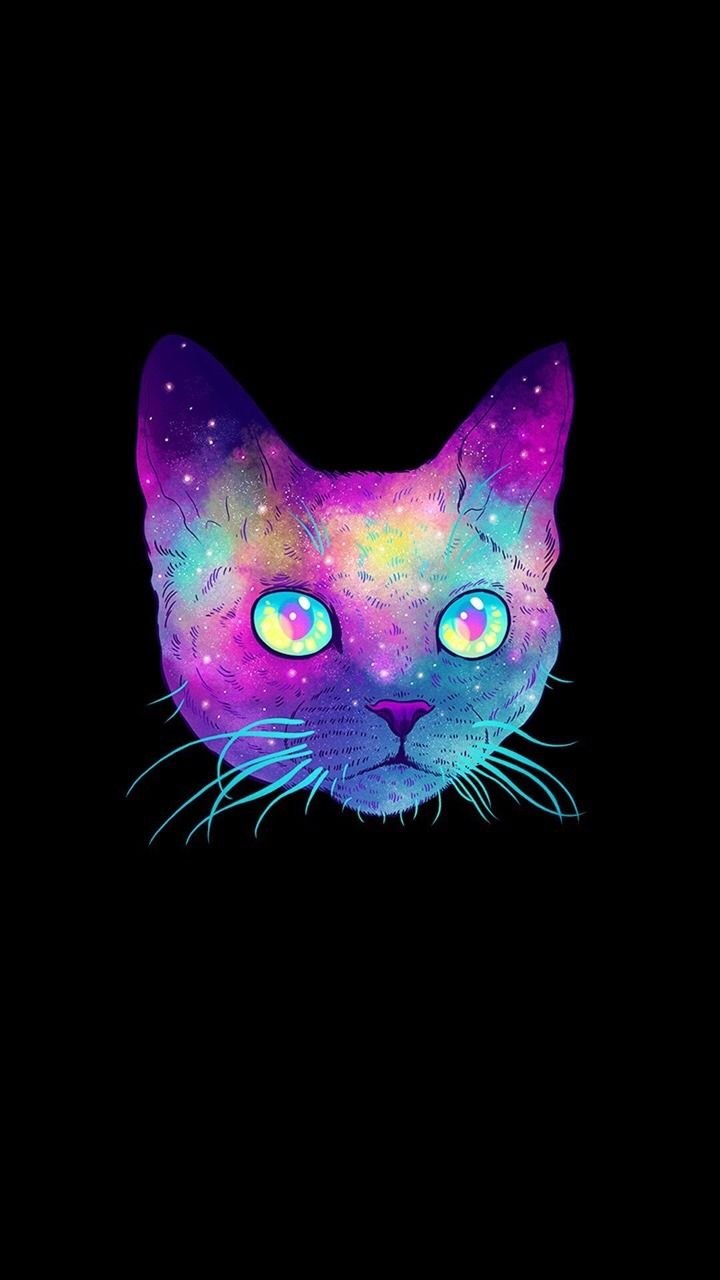 Черный котенок арт