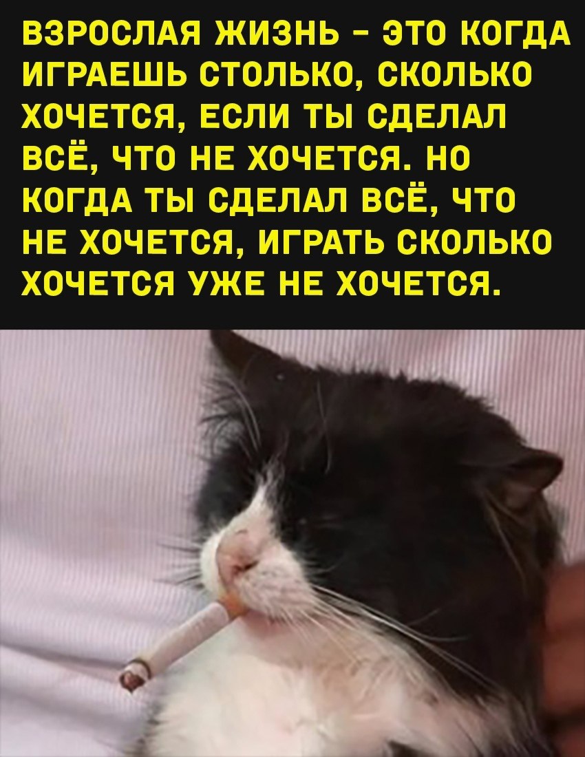 Аясе Арагаки Яндере