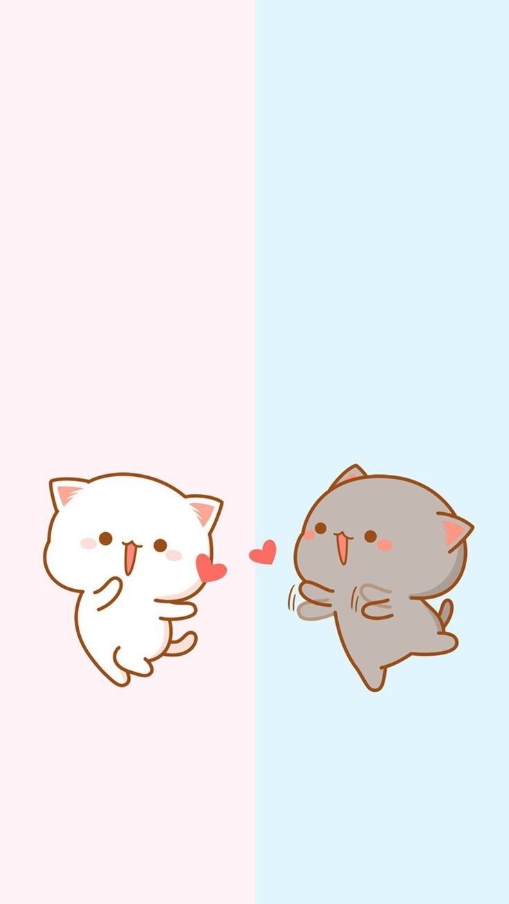 Парные милые обои с котиками