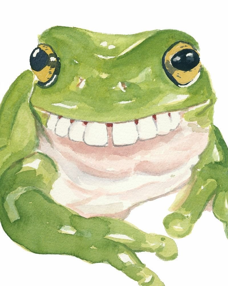 Милые лягушки арт