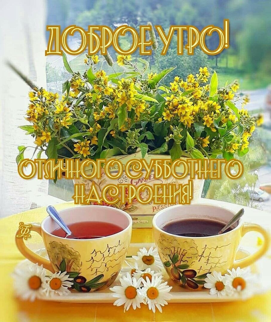 Доброе утро солнышко