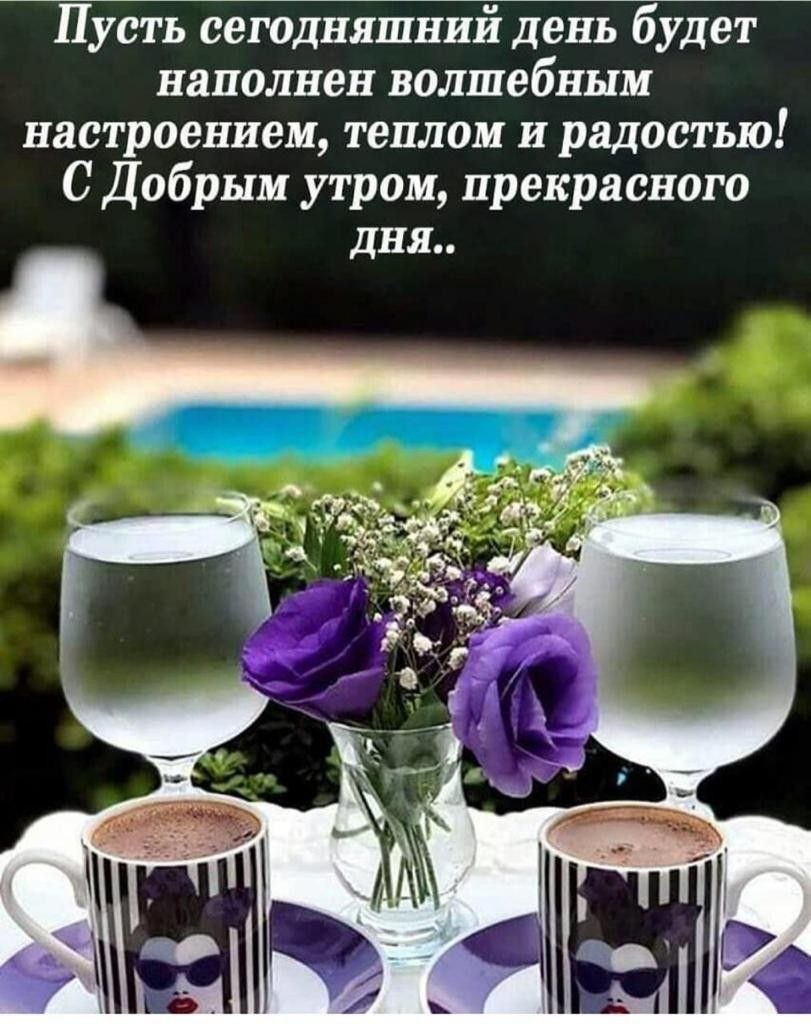 Цветы за стеклом