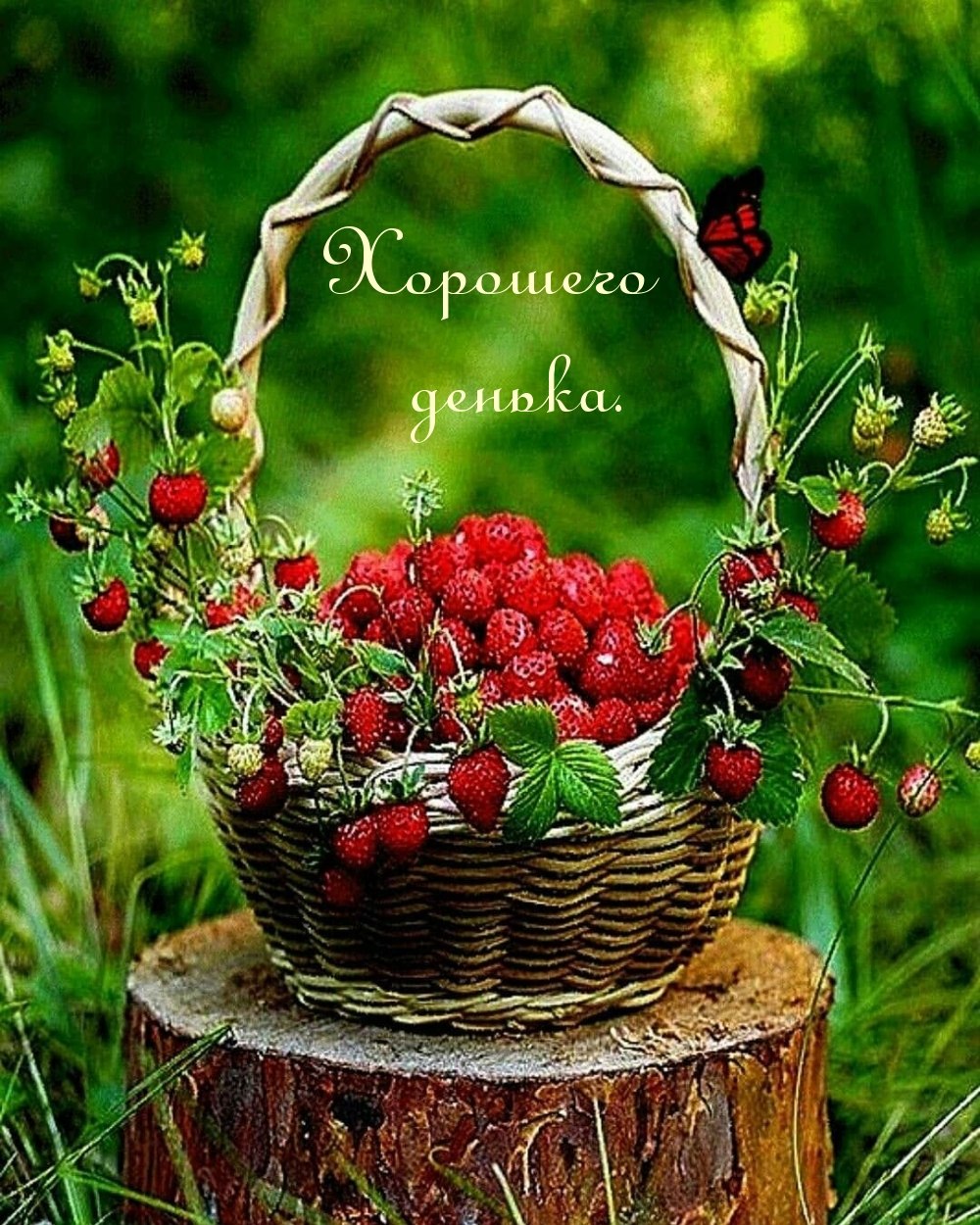 Корзинка с ягодами
