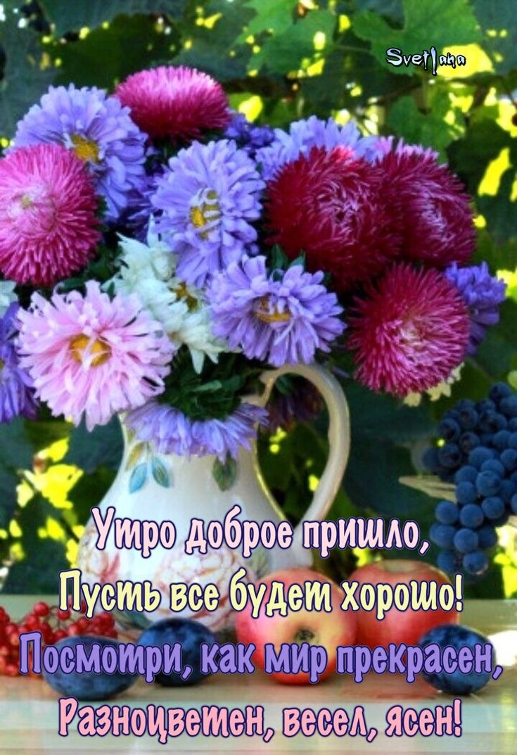 Осень астры