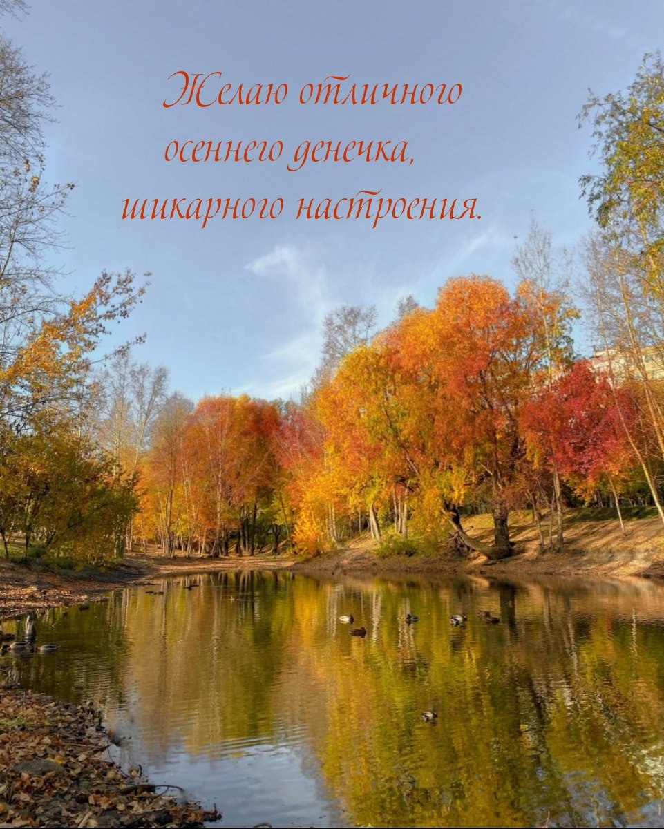 Открытки осенний приветик