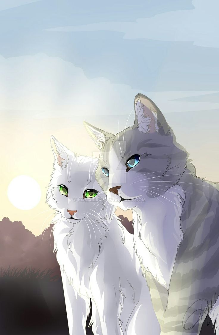 Коты воители луны