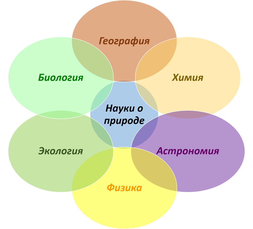 Естественные науки презентация