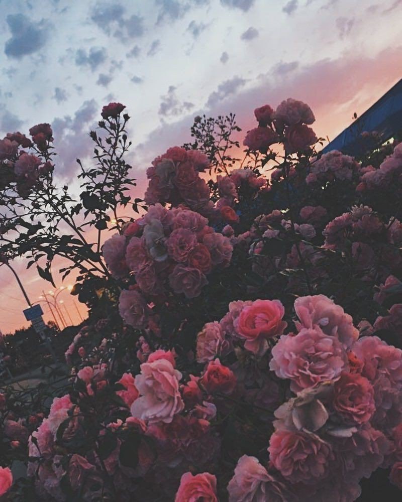 Эстетики коллажи