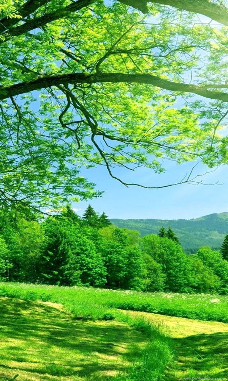 Пейзаж пляж