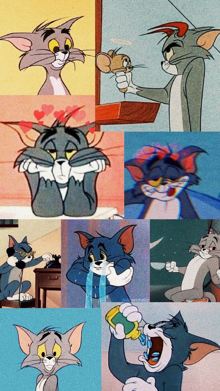 Крутой кот том