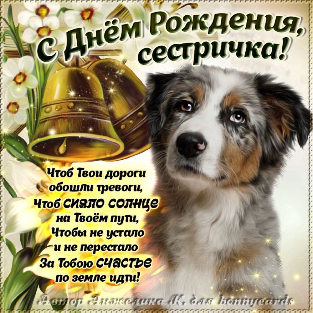 С днём рождения местра