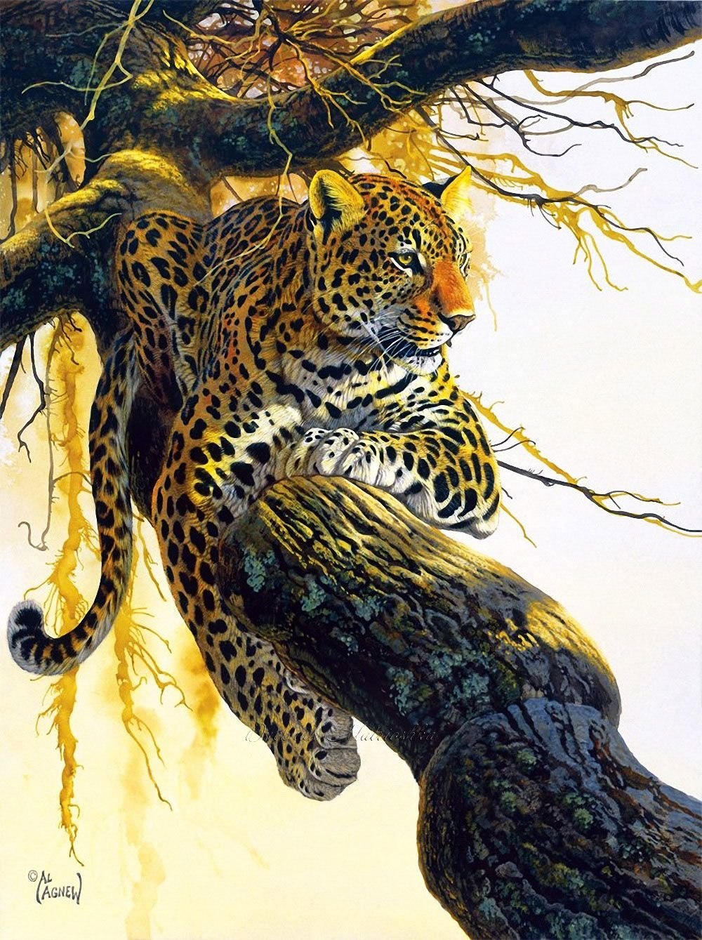 Jurek Zamoyski художник