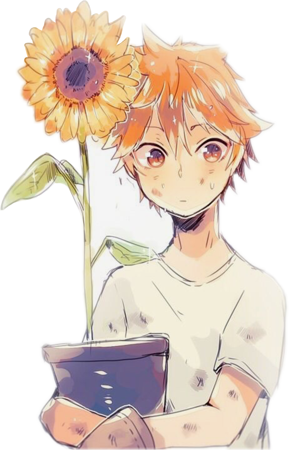 Haikyuu Хината Чиби