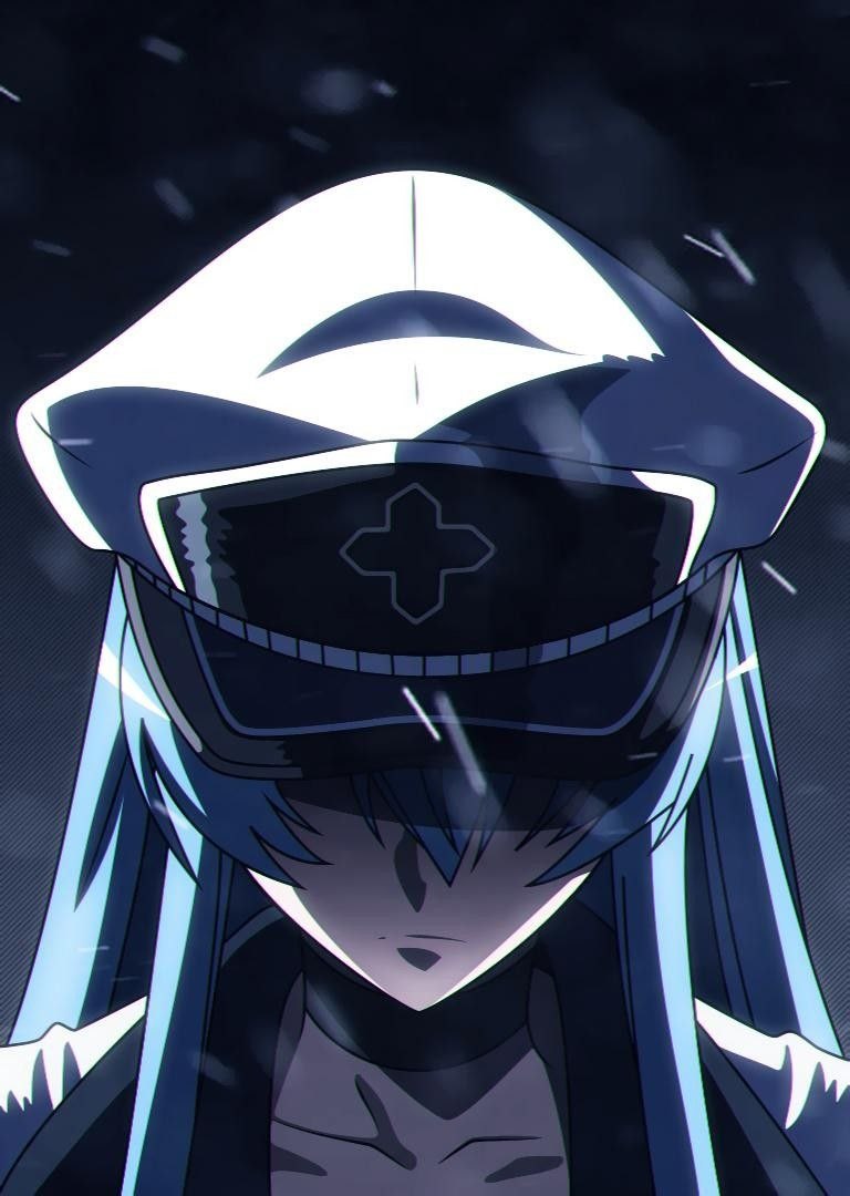 Убийца акаме Esdeath
