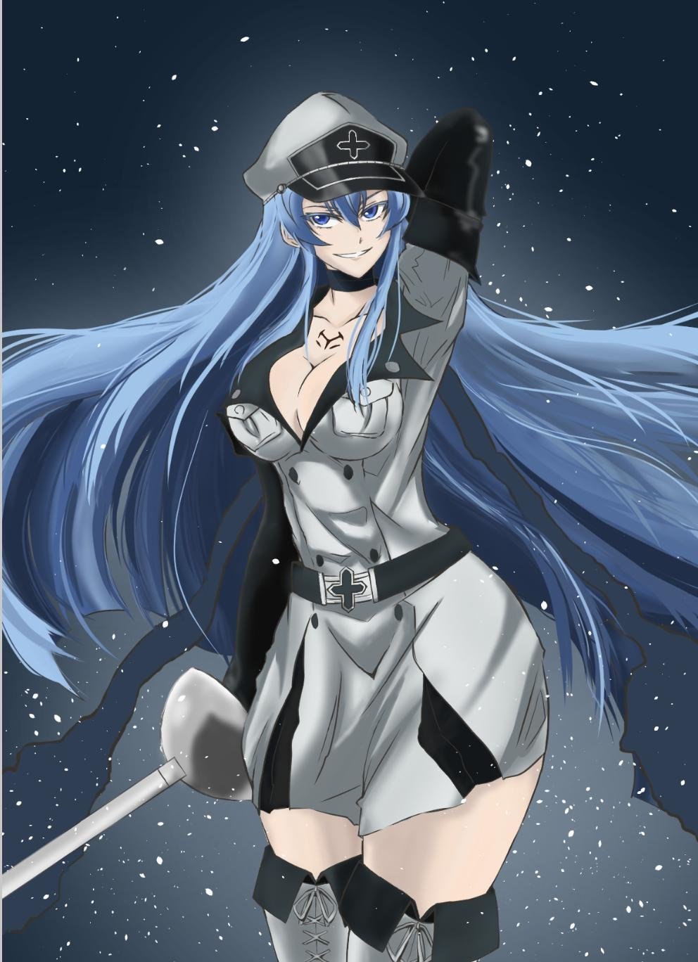 Akame ga Kill Эсдес