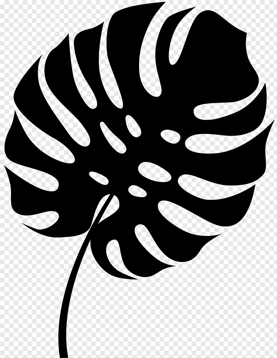 Monstera silhouette