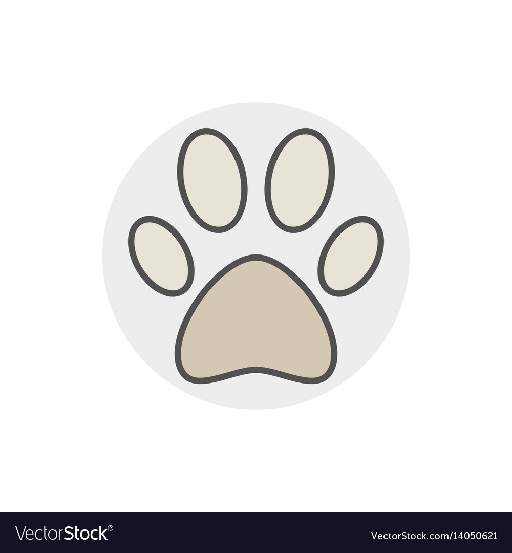 Paw Patrol huellas