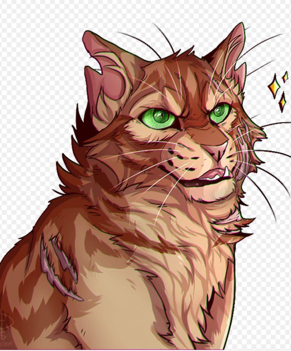 Ravenpaw коты Воители