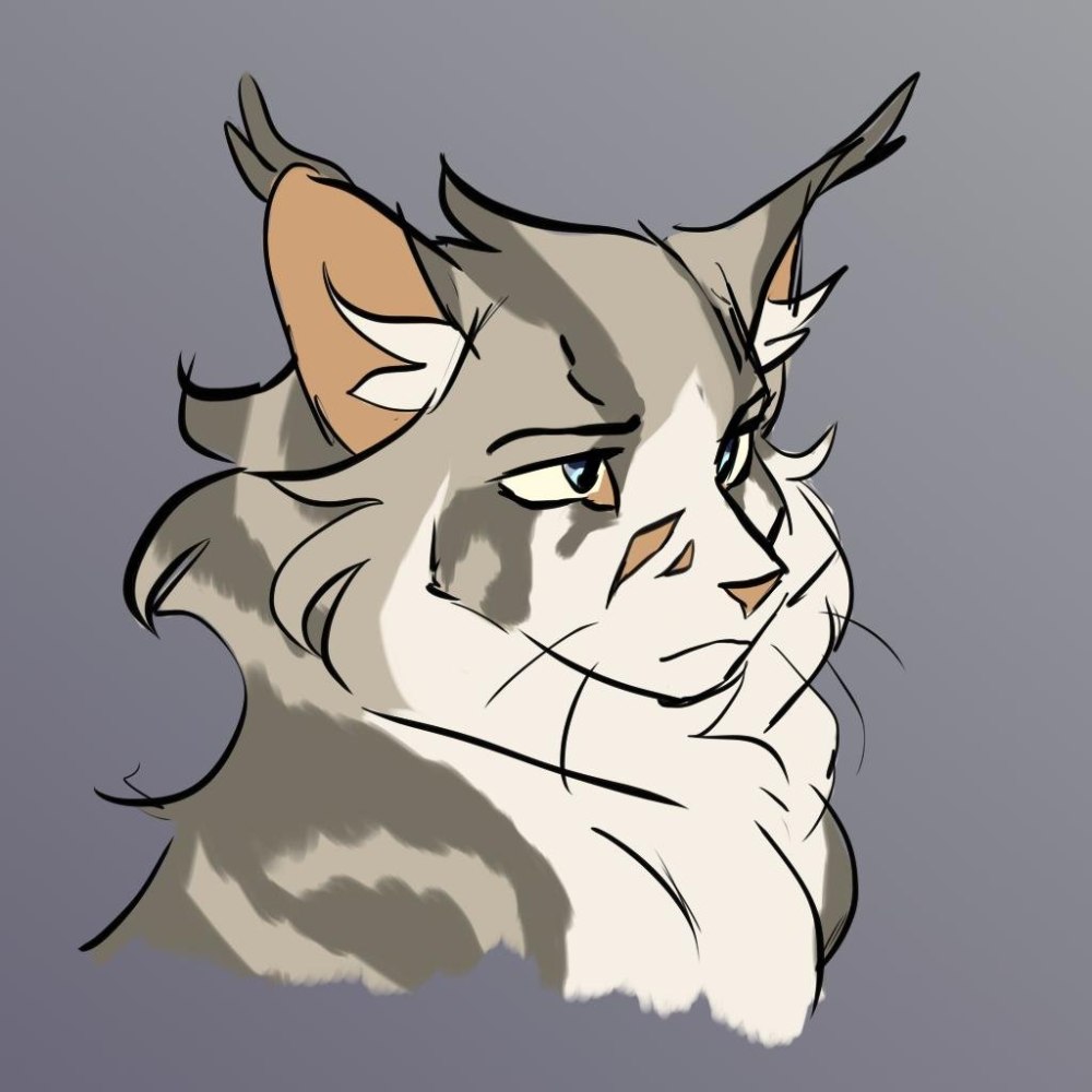 Feathertail коты Воители