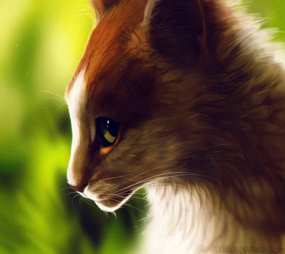 Vialir коты Воители Art