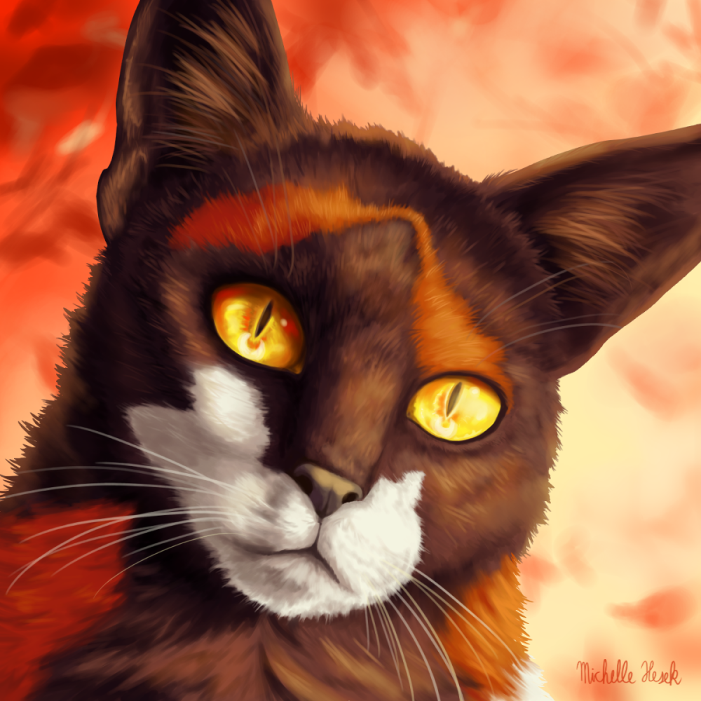Коты Воители арты головы