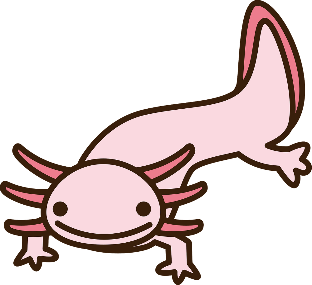 Axolotl TMNT 3012